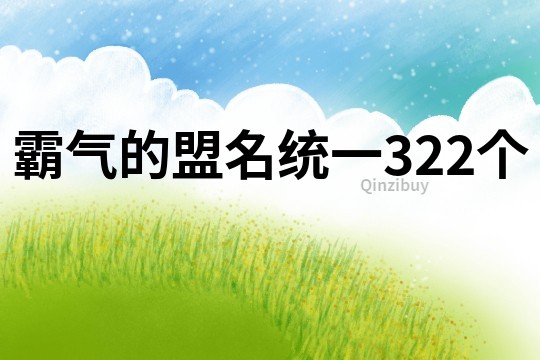 霸气的盟名统一322个