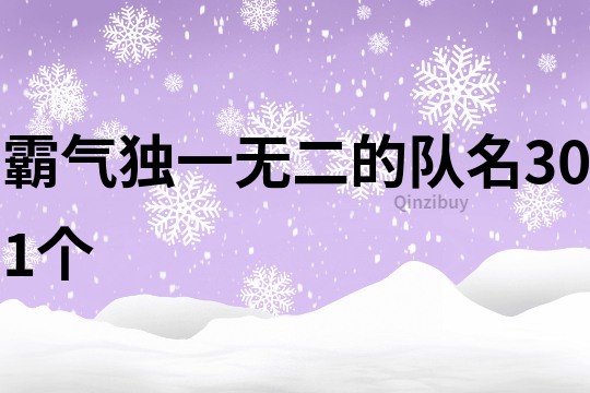 霸气独一无二的队名301个