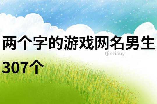 两个字的游戏网名男生307个