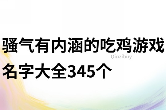 骚气有内涵的吃鸡游戏名字大全345个