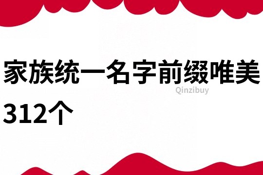 家族统一名字前缀唯美312个