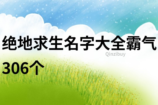 绝地求生名字大全霸气306个