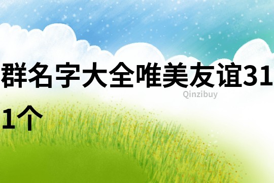 群名字大全唯美友谊311个