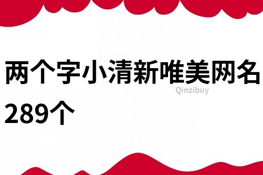 两个字小清新唯美网名289个