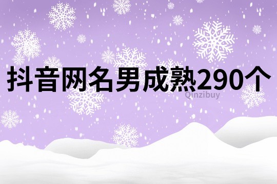 抖音网名男成熟290个