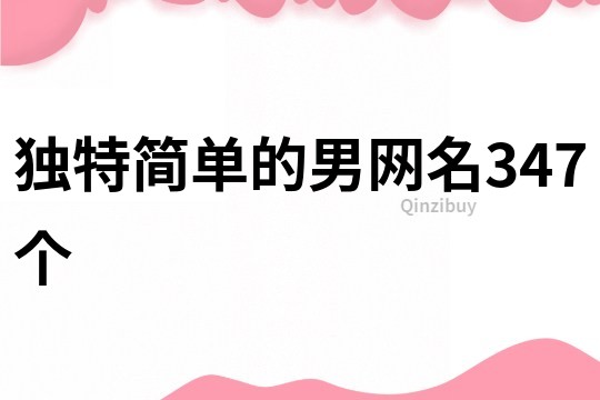 独特简单的男网名347个