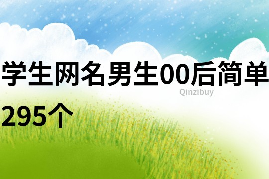 学生网名男生00后简单295个