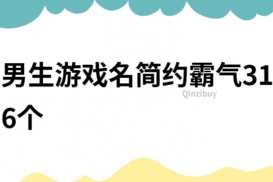 男生游戏名简约霸气316个