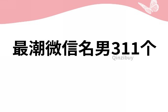 最潮微信名男311个