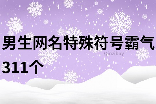 男生网名特殊符号霸气311个