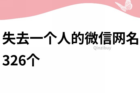 失去一个人的微信网名326个