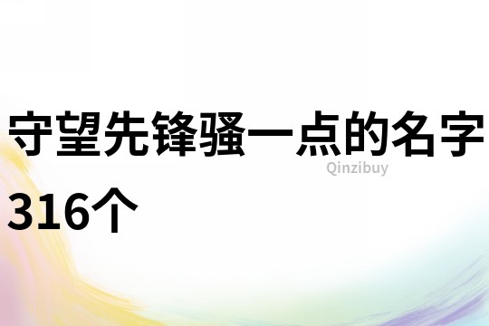 守望先锋骚一点的名字316个