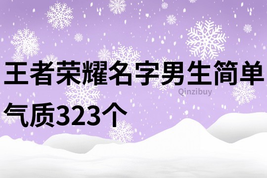 王者荣耀名字男生简单气质323个