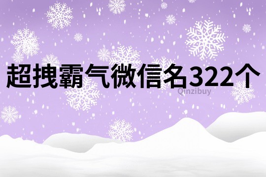 超拽霸气微信名322个