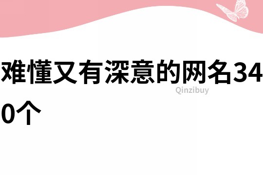 难懂又有深意的网名340个