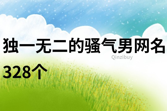 独一无二的骚气男网名328个