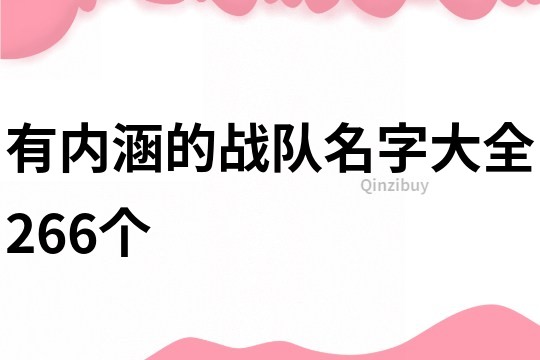 有内涵的战队名字大全266个