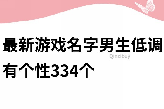 最新游戏名字男生低调有个性334个