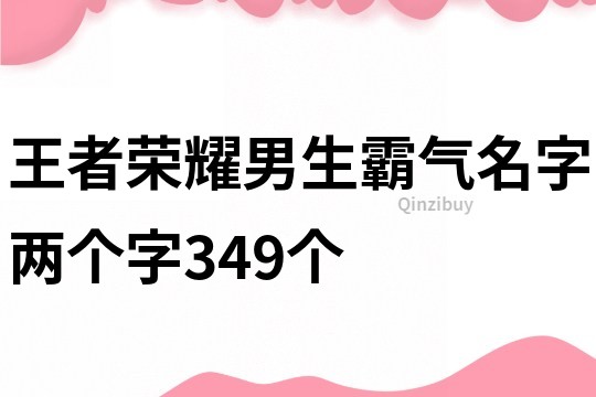 王者荣耀男生霸气名字两个字349个