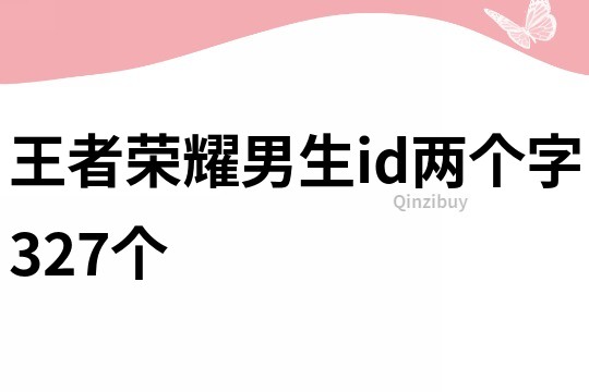 王者荣耀男生id两个字327个