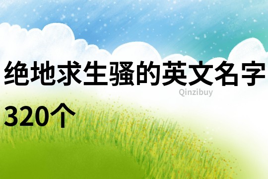 绝地求生骚的英文名字320个