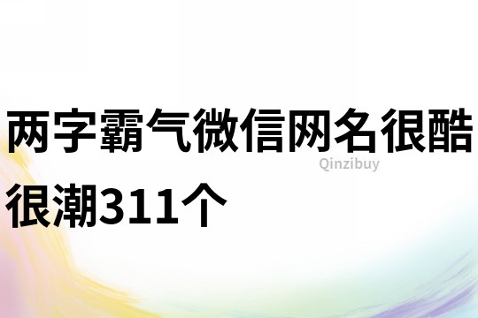 两字霸气微信网名很酷很潮311个