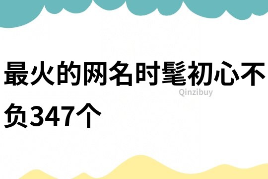 最火的网名时髦初心不负347个