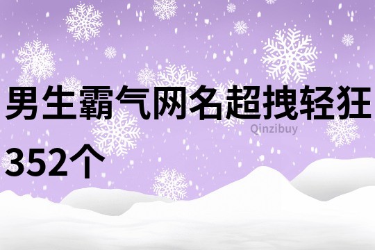 男生霸气网名超拽轻狂352个