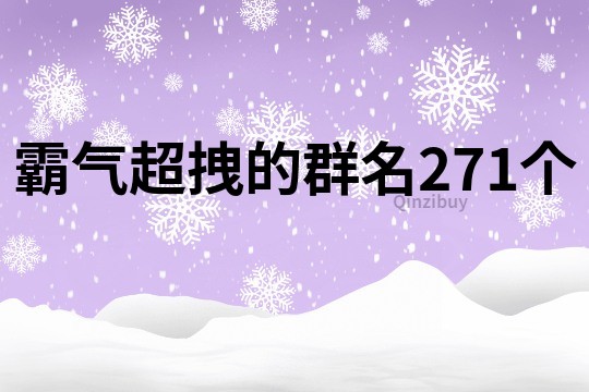 霸气超拽的群名271个