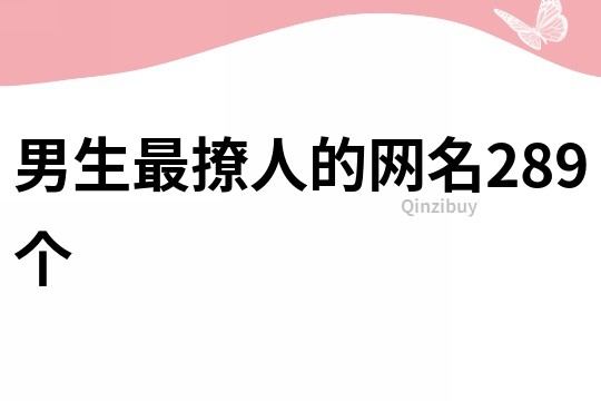 男生最撩人的网名289个