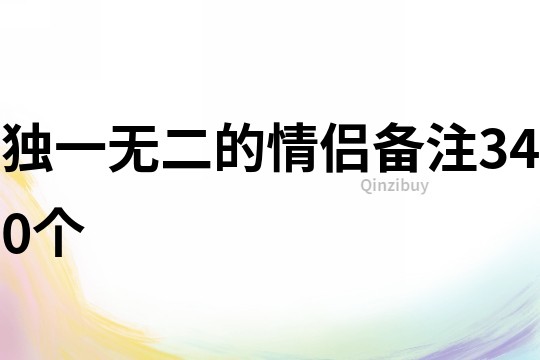 独一无二的情侣备注340个