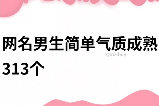 网名男生简单气质成熟313个