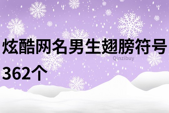 炫酷网名男生翅膀符号362个