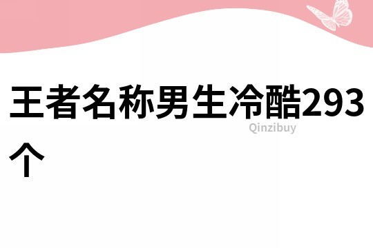 王者名称男生冷酷293个