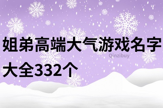 姐弟高端大气游戏名字大全332个