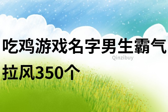 吃鸡游戏名字男生霸气拉风350个