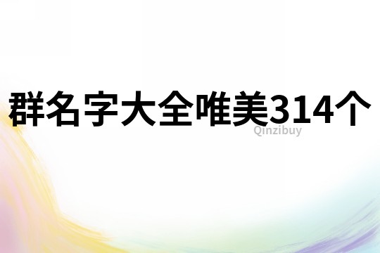 群名字大全唯美314个