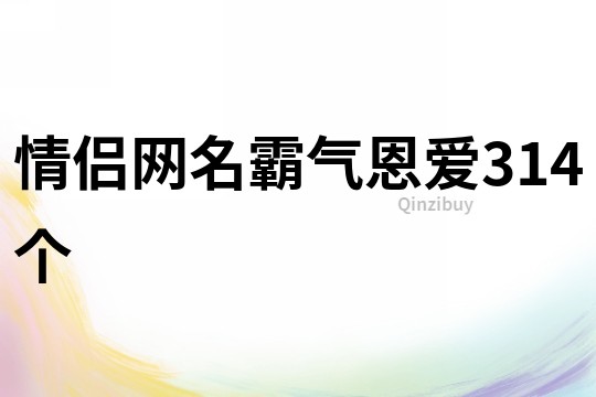 情侣网名霸气恩爱314个