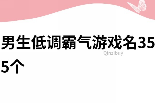 男生低调霸气游戏名355个