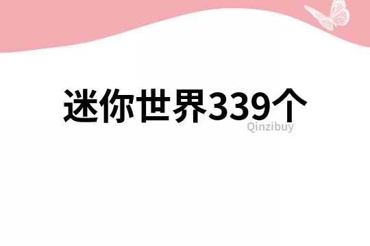 迷你世界339个