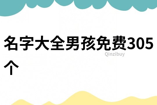 名字大全男孩免费305个