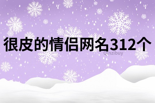 很皮的情侣网名312个