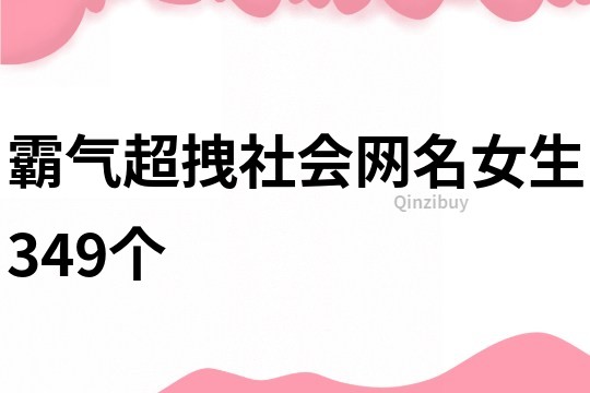 霸气超拽社会网名女生349个