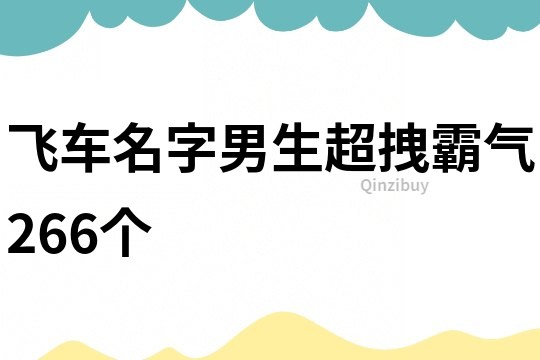 飞车名字男生超拽霸气266个