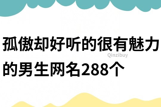 孤傲却好听的很有魅力的男生网名288个