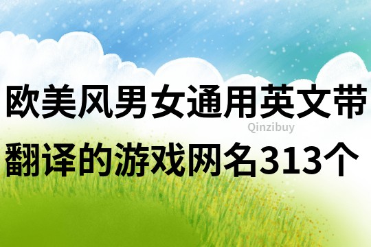 欧美风男女通用英文带翻译的游戏网名313个