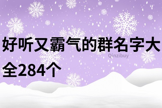 好听又霸气的群名字大全284个