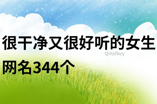 很干净又很好听的女生网名344个