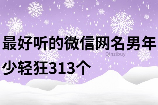 最好听的微信网名男年少轻狂313个