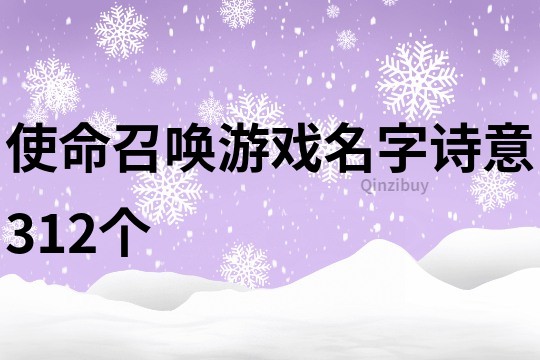 使命召唤游戏名字诗意312个